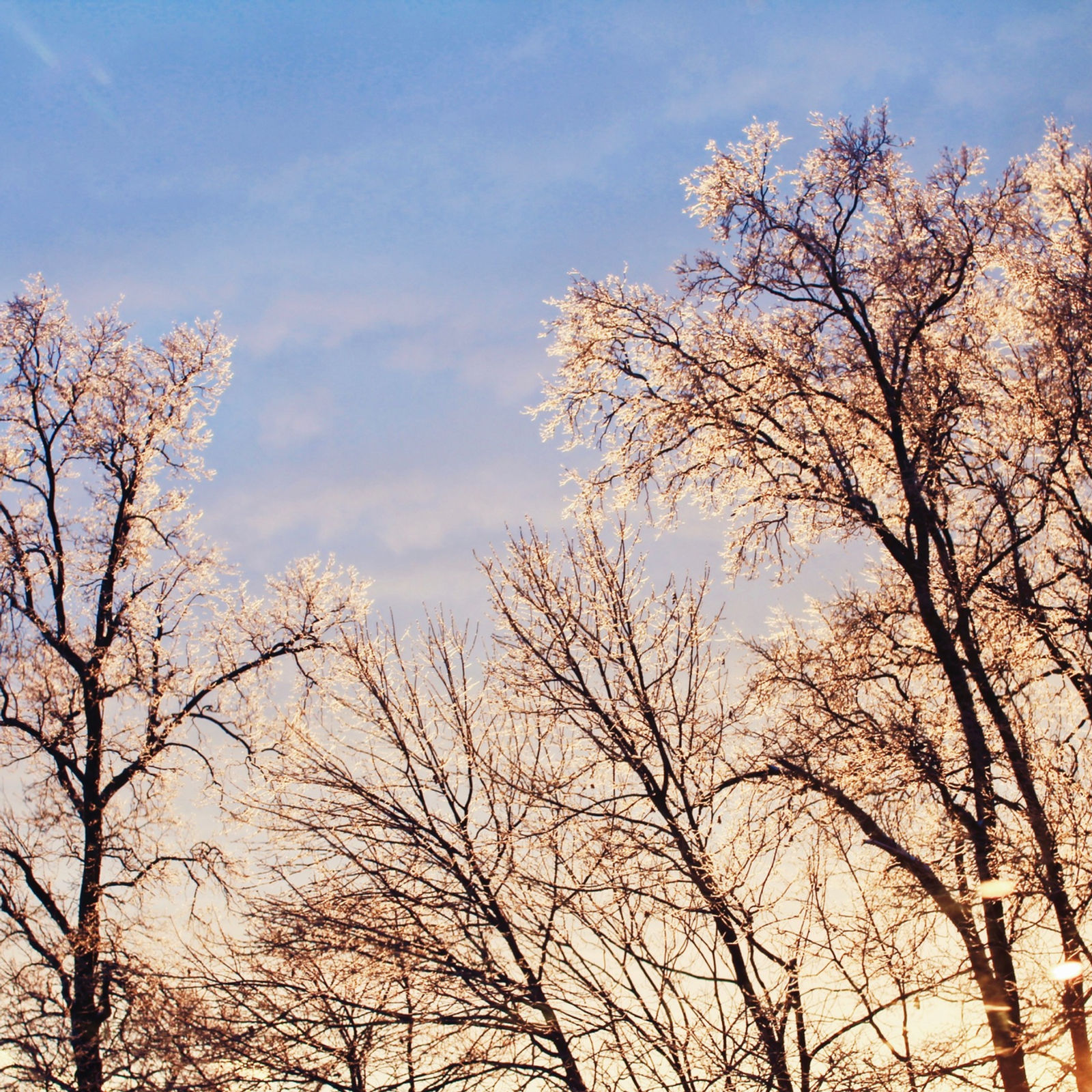4 Quotes to Remember When Caring For Someone with Alzheimer's