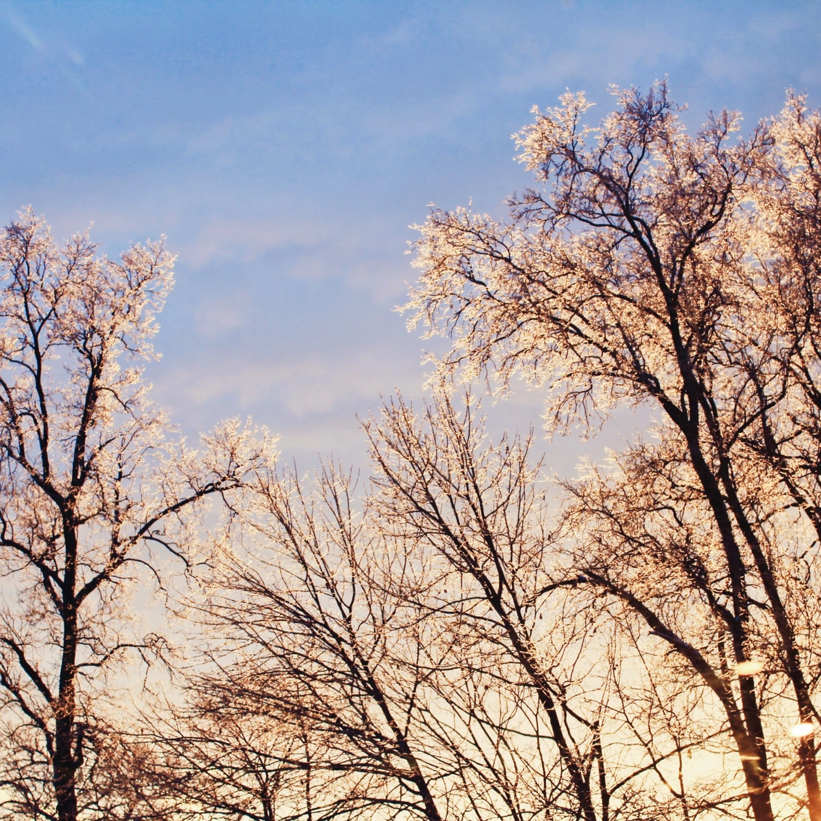 4 Quotes to Remember When Caring For Someone with Alzheimer's