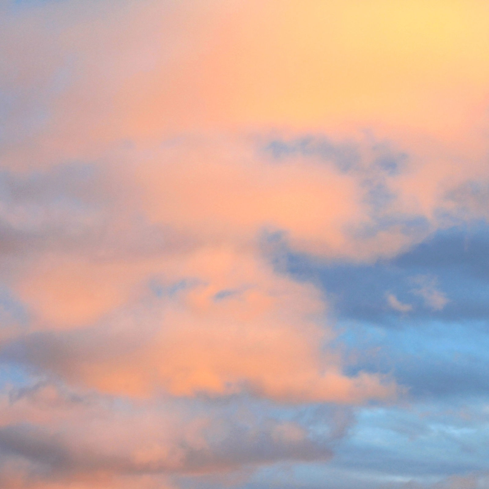 What People With Alzheimer's Have Taught Me
